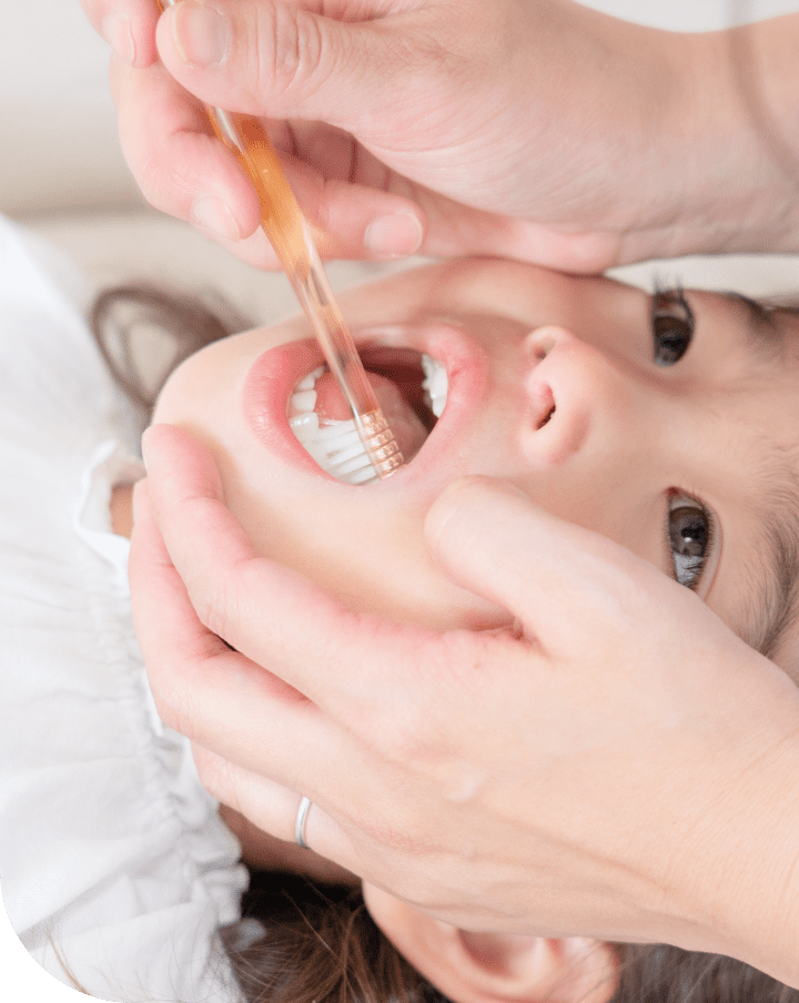 ファーストビューの画像